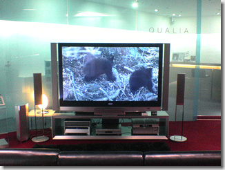 sony_buld06.jpg