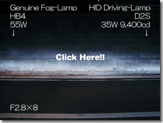 HID Fog Lamp