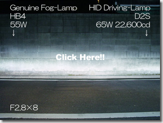 HID Fog Lamp