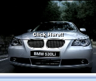 530Li01.jpg