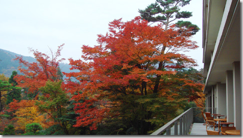 Hakone Kowaki-en