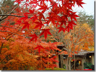 Fuji Kaneyama-en