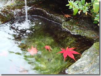 Fuji Kaneyama-en