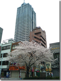 Nihonbashi Ningyocho