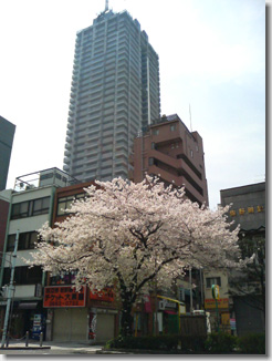 Nihonbashi Ningyocho