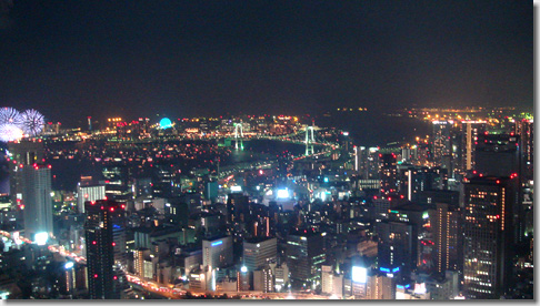 Tokyo Tower & Harumi