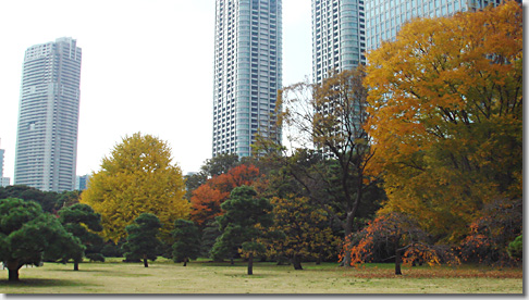 hamarikyu03.jpg