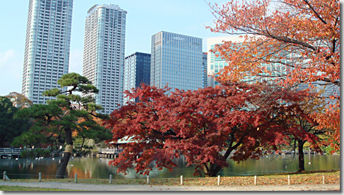 hamarikyu05.jpg