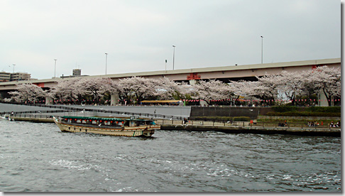 sumida04.jpg