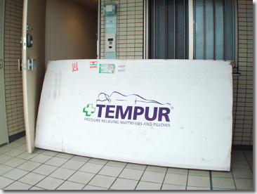 tempur01.jpg