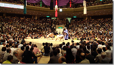 sumo03.jpg