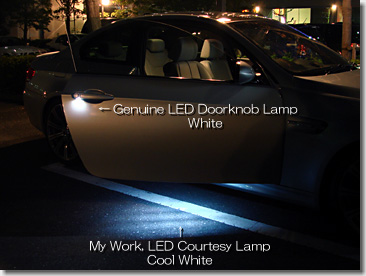 LED Courtesy Lamp
