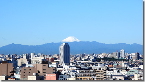 Mt. Fuji