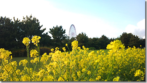 Kasai Rinkai Park