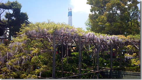 Kameido Tenjin