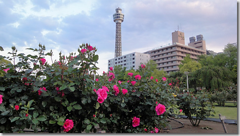 Yokohama