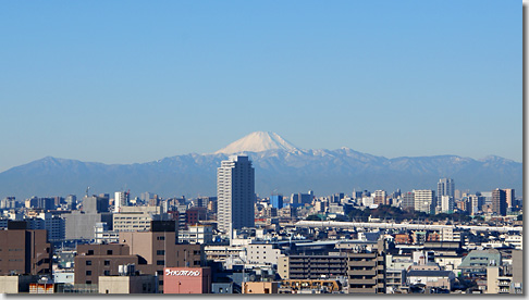 Mt. Fuji