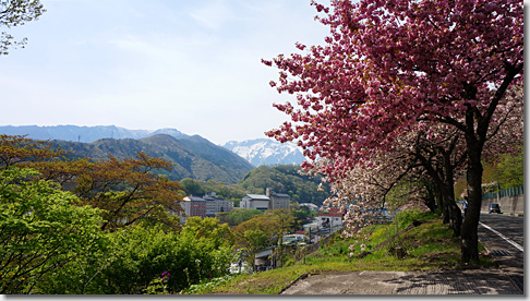 温泉通り音楽散歩