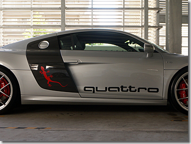 Audi R8 Quattro Gecko Side Icon, 3M Japan Car Wrapping Film