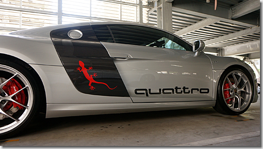 Audi R8 Quattro Carbon Side Logo, 3M Japan Car Wrapping Film