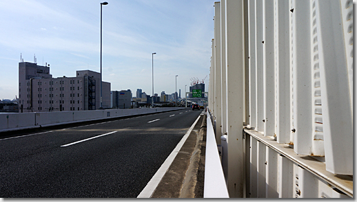 Tokyo-Bay Tatsumi Parking Area, Police Car