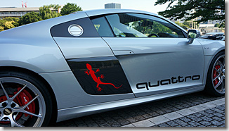 Audi R8 V10 5.2 FSI Quattro Side Logo
