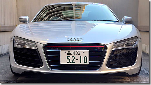 Audi R8 Quattro Front Grill Stripe