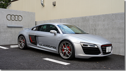 Audi R8 Quattro Front Grill Stripe