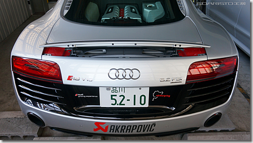 Rear Wing Mesh Cover Painting for Audi R8
