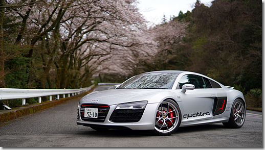 Audi R8 V10 5.2 FSI quattro, Cherry Blossom, Hakone Turnpike