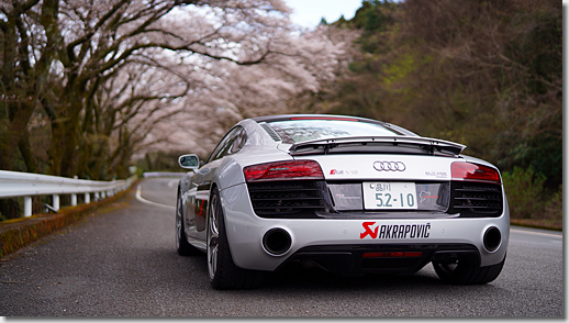 Audi R8 V10 5.2 FSI quattro, Cherry Blossom, Hakone Turnpike
