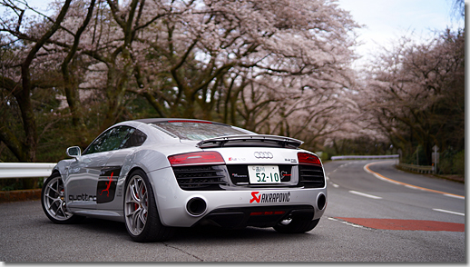 Audi R8 V10 5.2 FSI quattro, Cherry Blossom, Hakone Turnpike