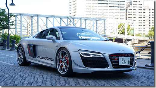 Carbon Front Winglet Canard - Audi R8