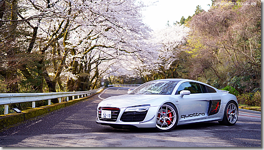 Audi R8 V10 5.2 FSI quattro, Cherry Blossom, Hakone Turnpike