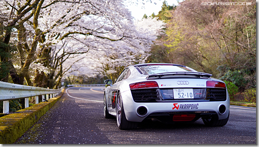 Audi R8 V10 5.2 FSI quattro, Cherry Blossom, Hakone Turnpike