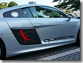 Audi R8 Gecko & quattro Side Logo