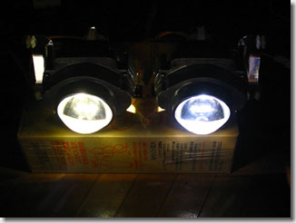 pale_hid04.jpg